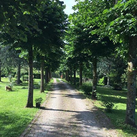 Le Mulina Villa Barberino di Mugello Ngoại thất bức ảnh